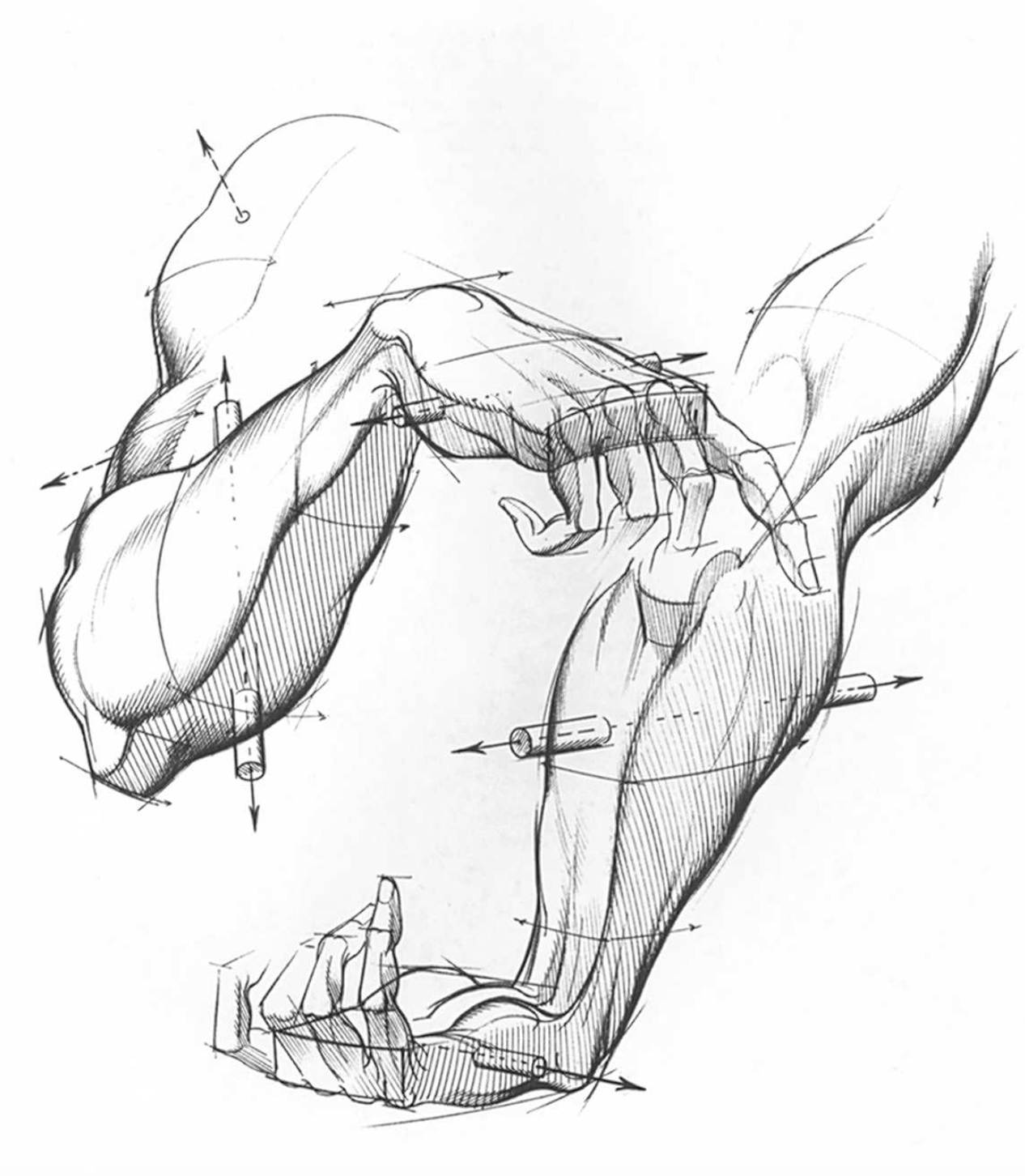 “Drawing Dynamic Hands”. Burne Hogarth