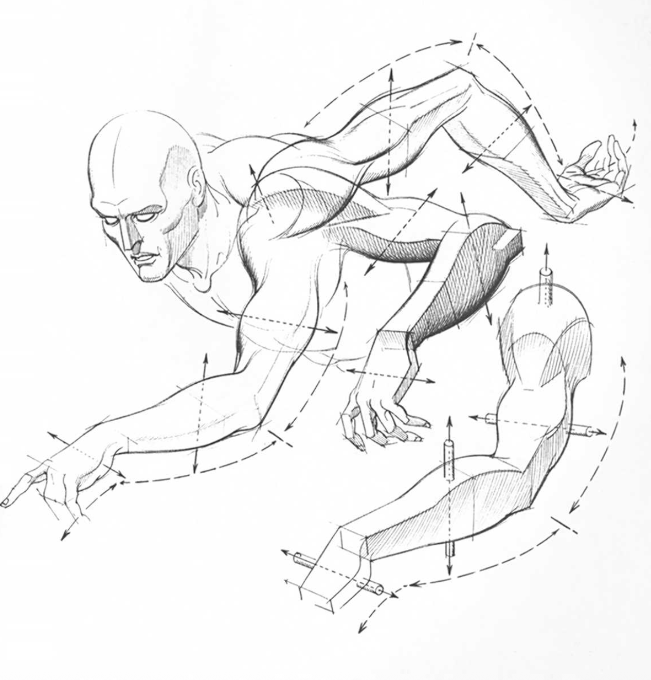 “Drawing Dynamic Hands”. Burne Hogarth