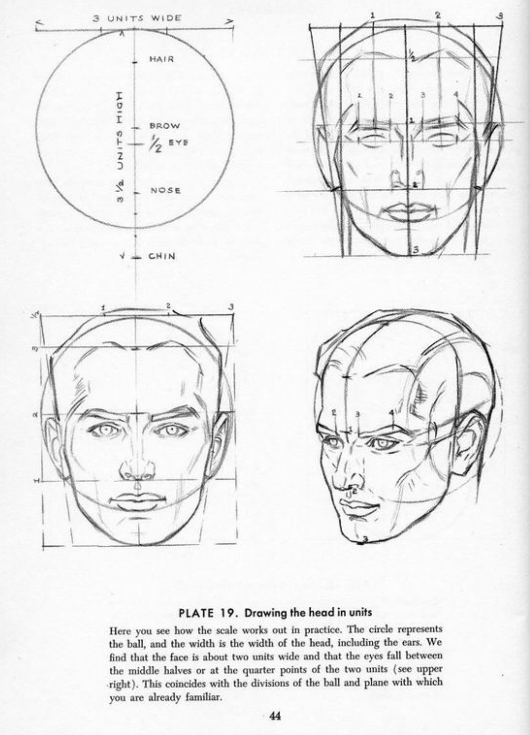 Drawing the Head & Hands_Andrew Loomis.