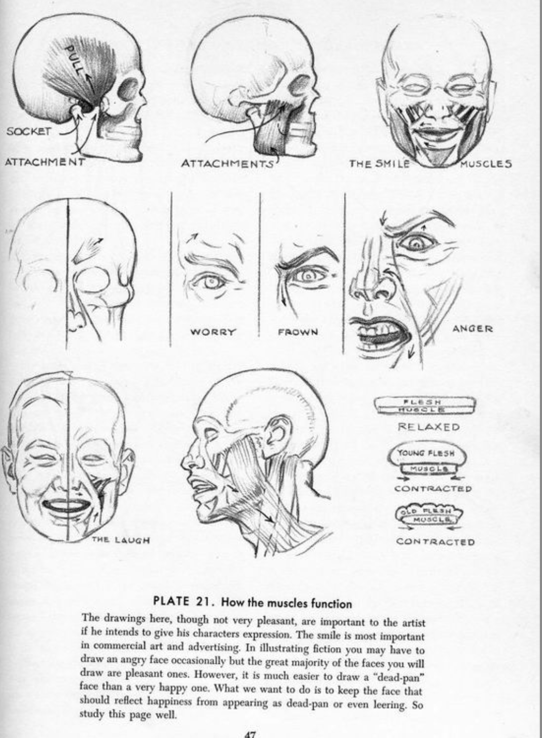 Drawing the Head & Hands_Andrew Loomis.
