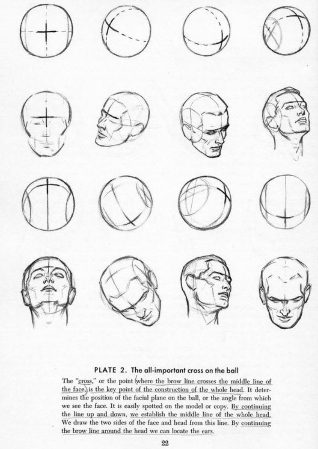 Drawing the Head & Hands_Andrew Loomis.